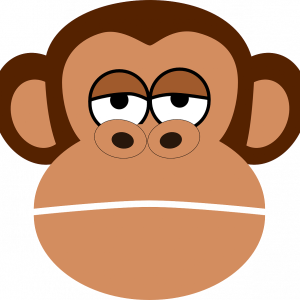 chimp, monkey, face-159092.jpg