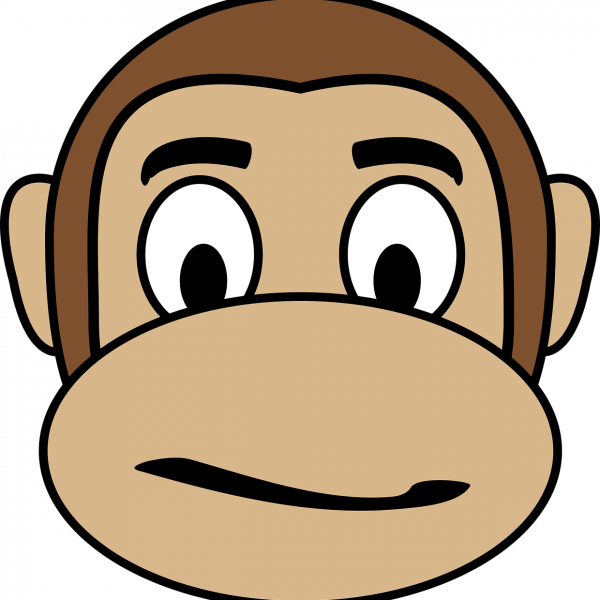 confused, face, monkey-2025064.jpg